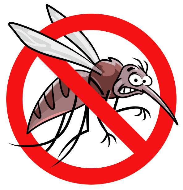 Услуги за контрол на комарите: Поддържане на вашия дом и общност в безопасност