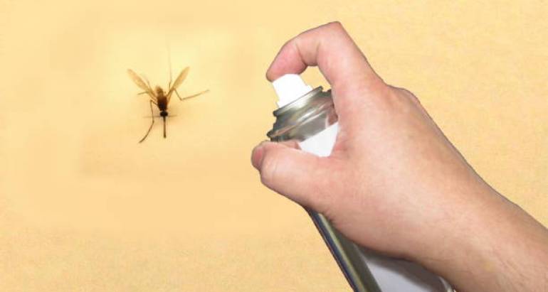 Най-доброто ръководство за спрей срещу мухи за дома: Ефективен контрол на мухите