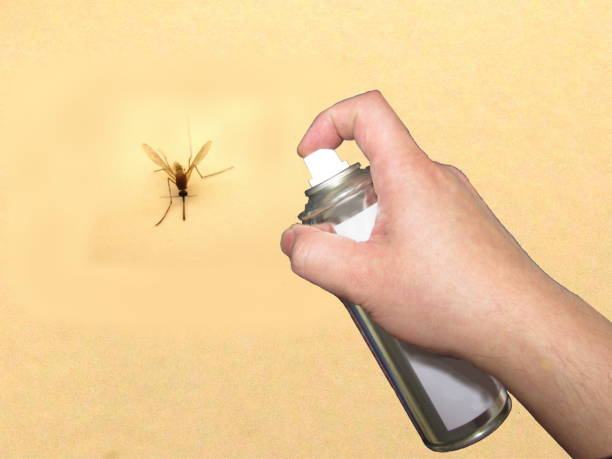 Най-доброто ръководство за спрей срещу мухи за дома: Ефективен контрол на мухите