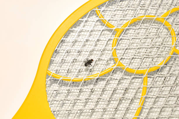 10 ефективни капана за мухи за дома: видове, предимства и как да изберете